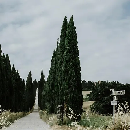 The Hunter House Castelfiorentino
