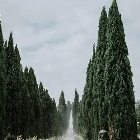 The Hunter House *