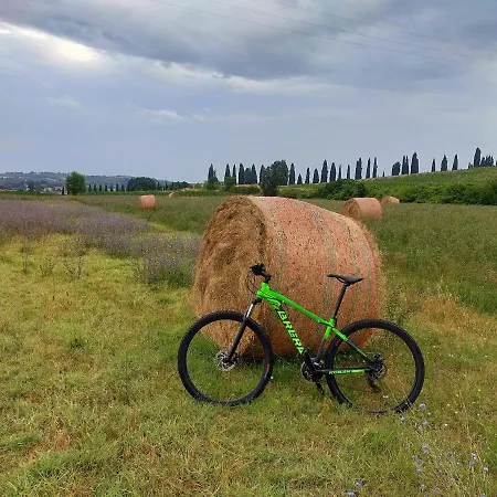 The Hunter House Holiday home Castelfiorentino